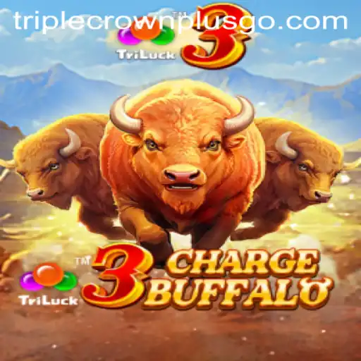 3ChargeBuffalo and the Excitement of TRIPLECROWNPLUS